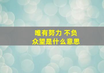 唯有努力 不负众望是什么意思